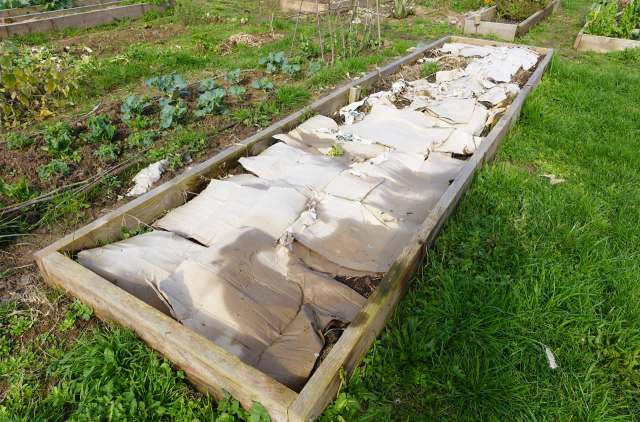 "I am a big believer."