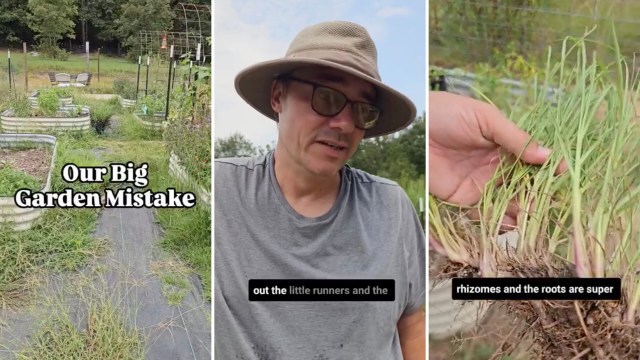 "It is the worst invention ever."