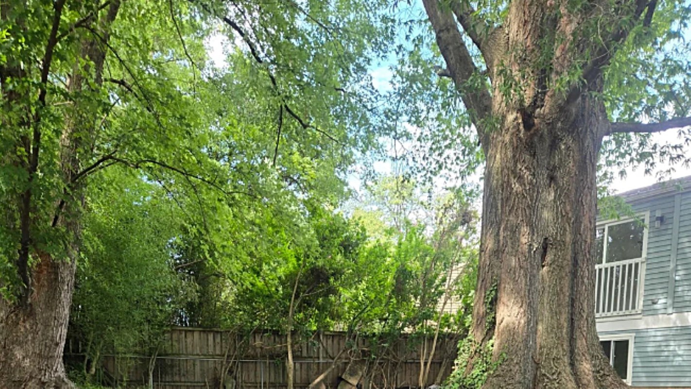 Commenters on the original post were quick to point out that this plan was unlikely to work.