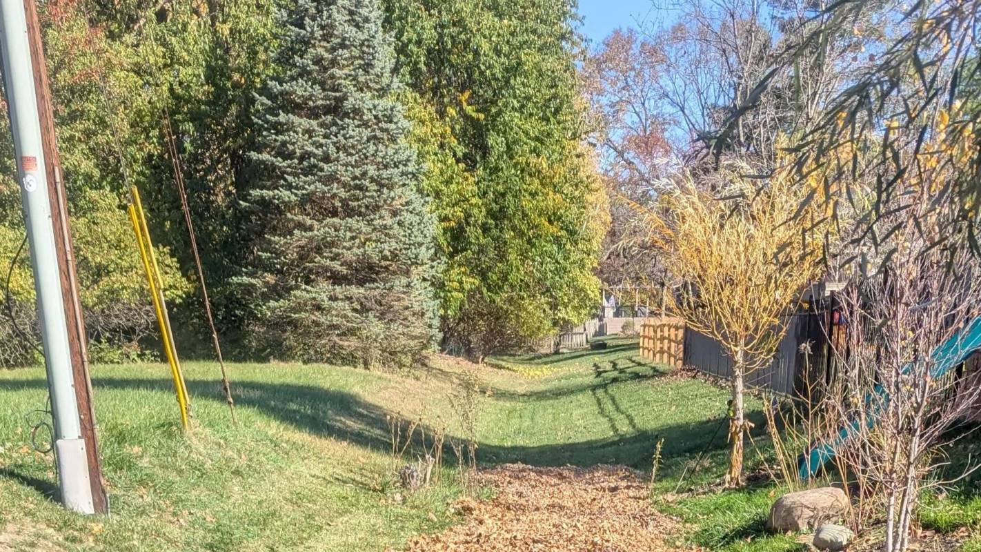 They received some solid advice from experienced gardeners.