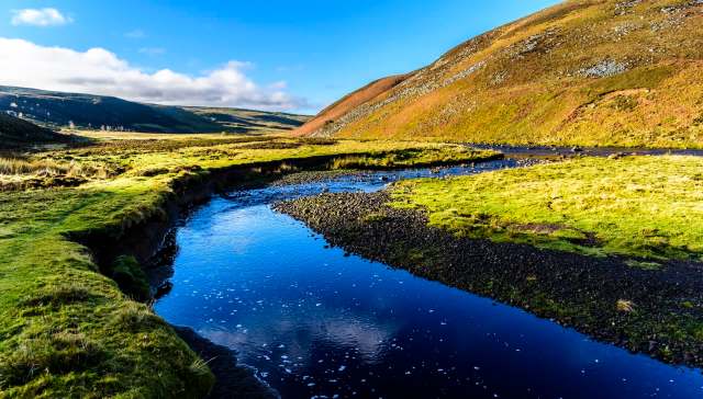 "We have reported it and got rid of it."