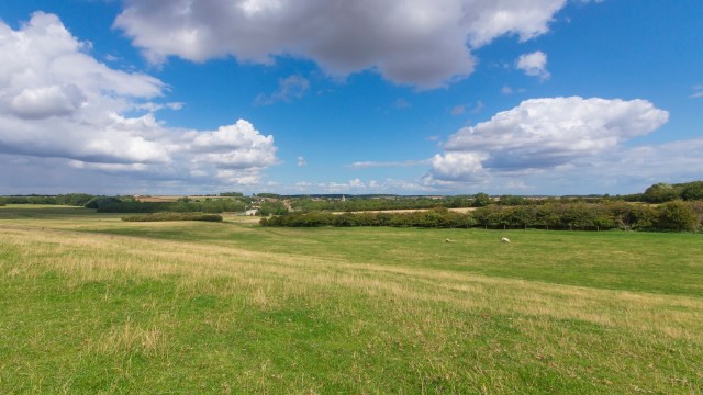 Photography is a powerful documentation tool for scientists.
