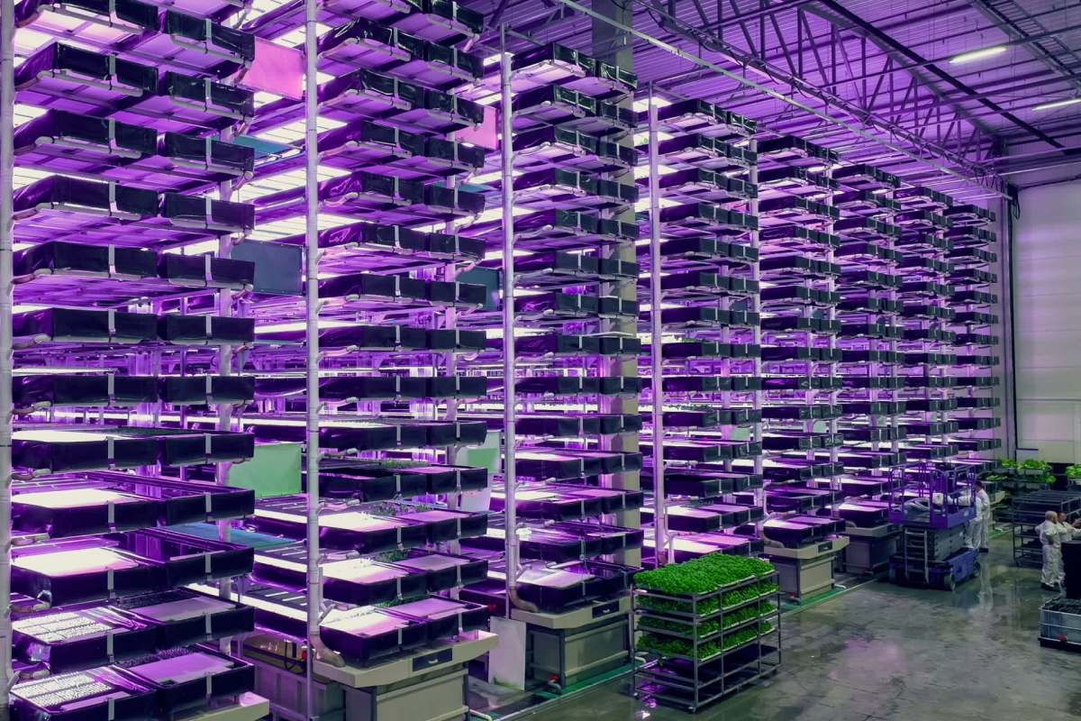 Vertical farming is becoming increasingly popular as a method of food production.