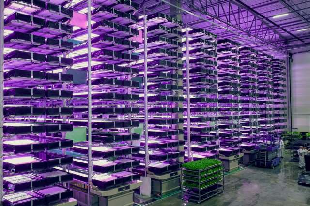 Vertical farming is becoming increasingly popular as a method of food production.