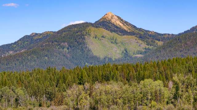 The pattern is familiar.