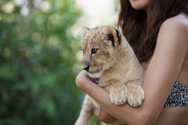 Authorities said they are investigating.