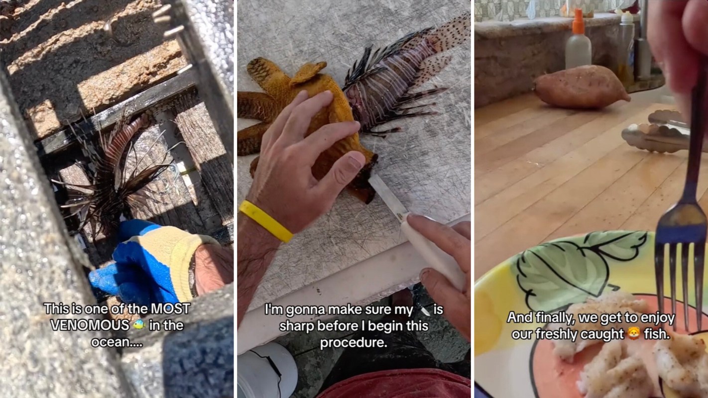 "So glad I was able to catch one for you guys to see!"