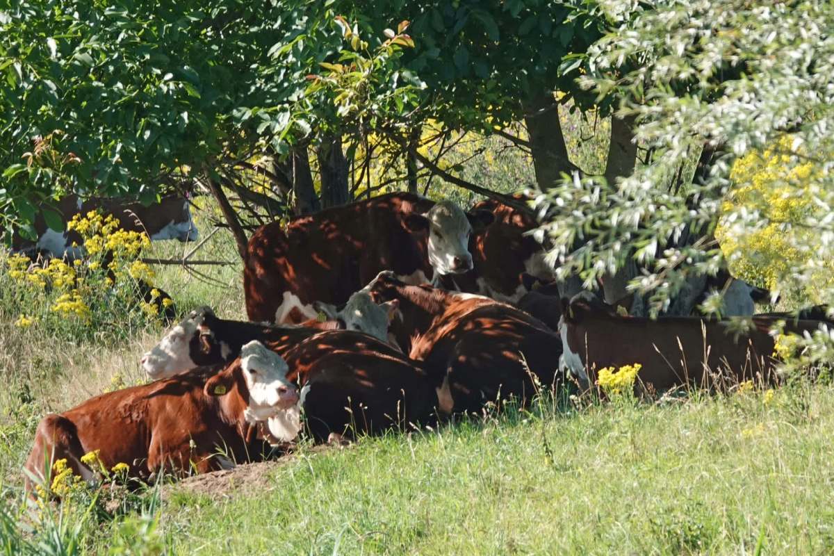 They urged the industry to act quickly.