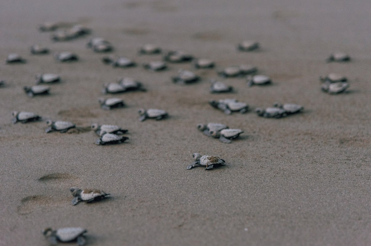 "We try to let them be as natural as possible."