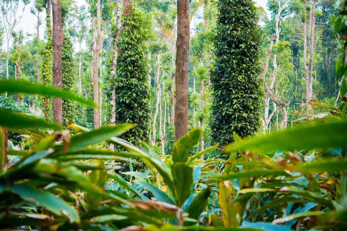 The encounter and the resulting photos were the fruits of an expedition.