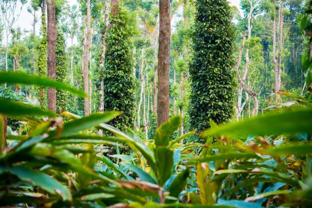 The encounter and the resulting photos were the fruits of an expedition.