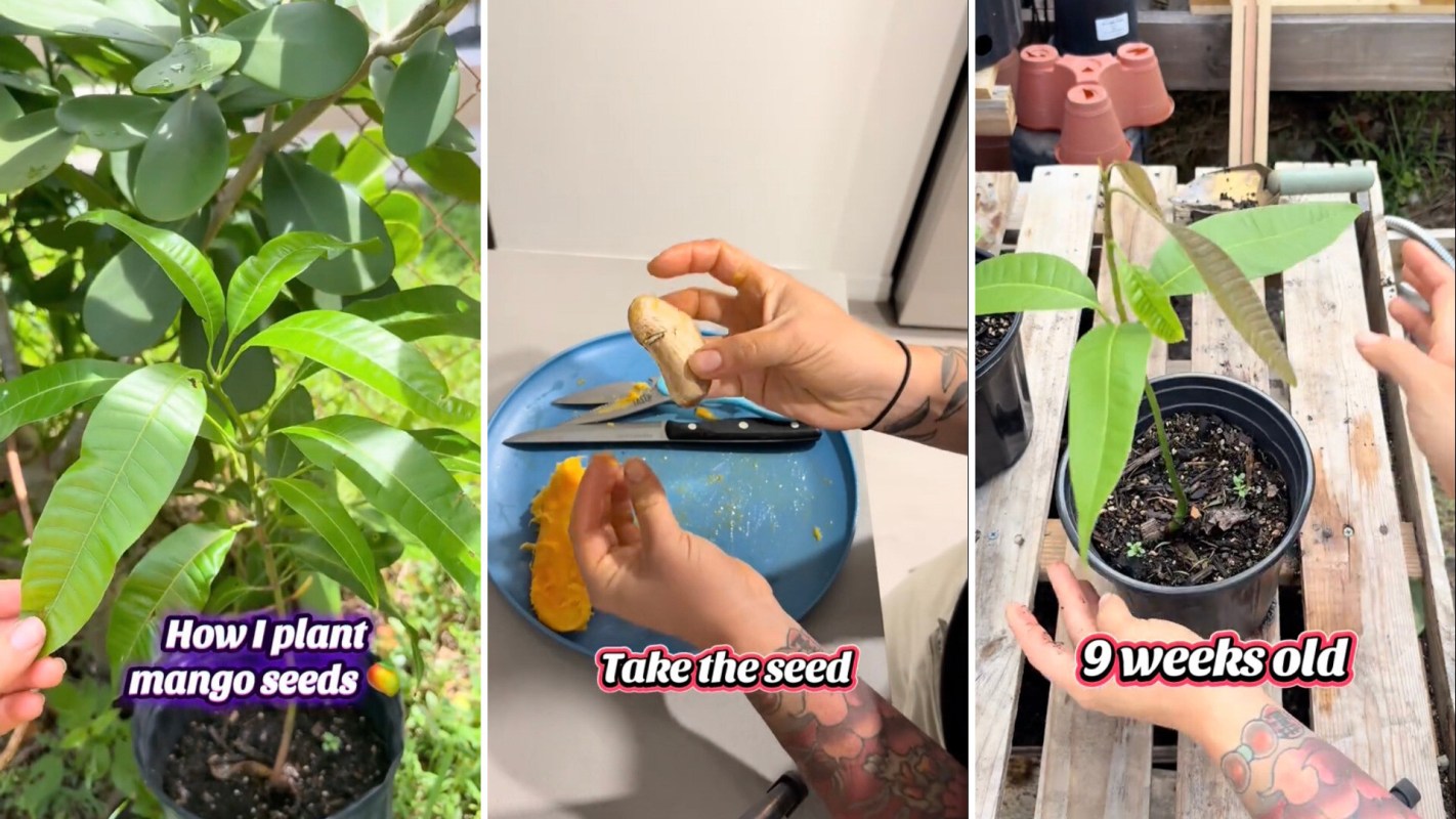 Others responded with excitement.