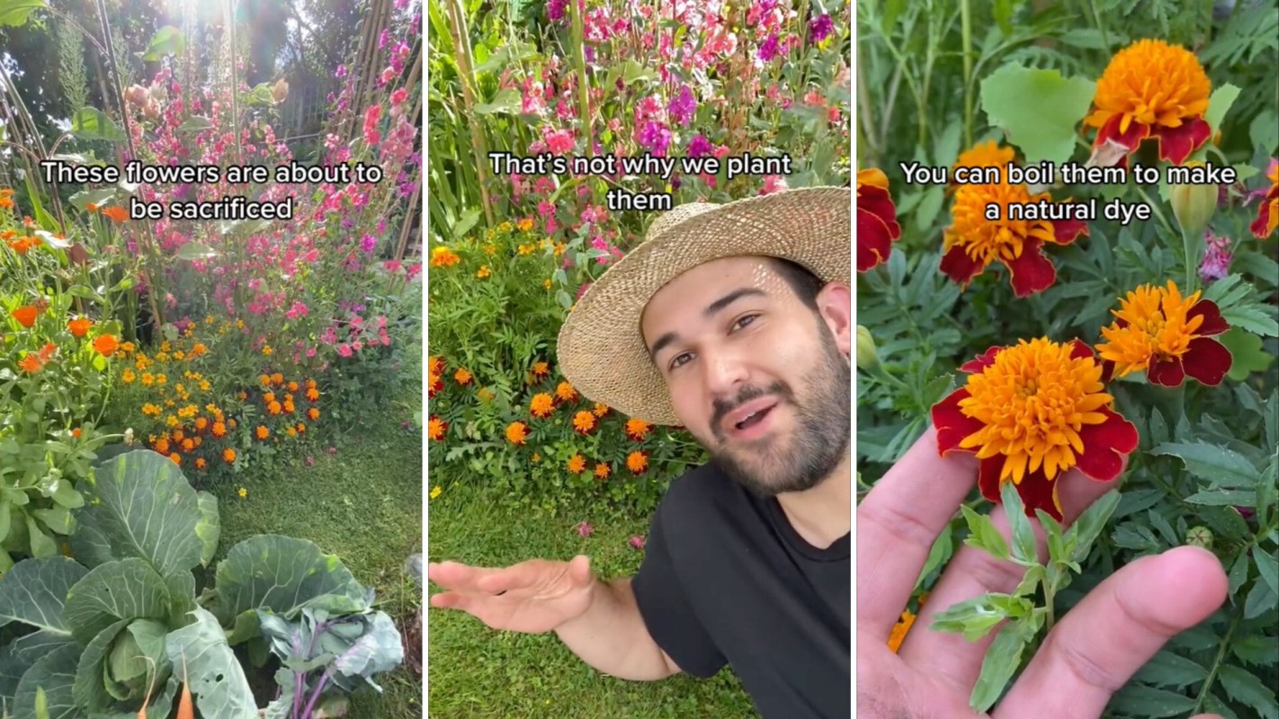 "Thank you so much."