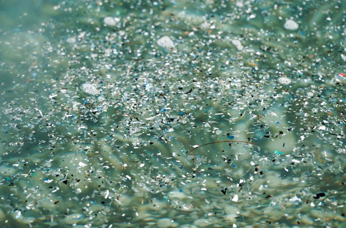 "What makes our device stand out is its multifaceted capability."