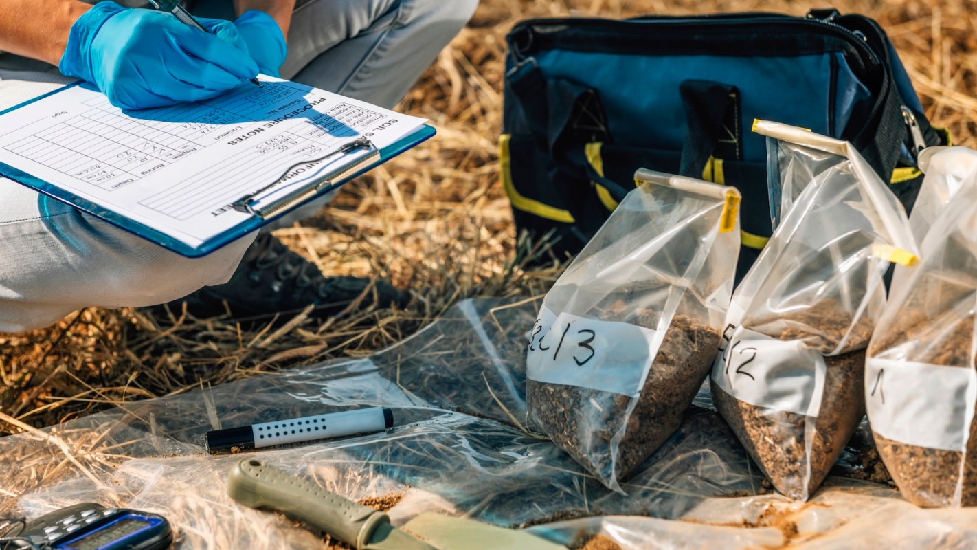 It could pose a risk to food security.