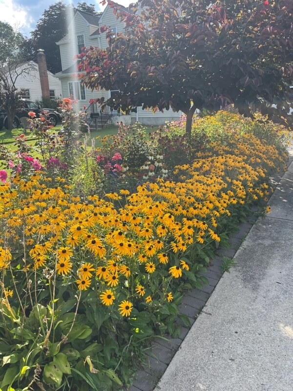 "This is my plan too."