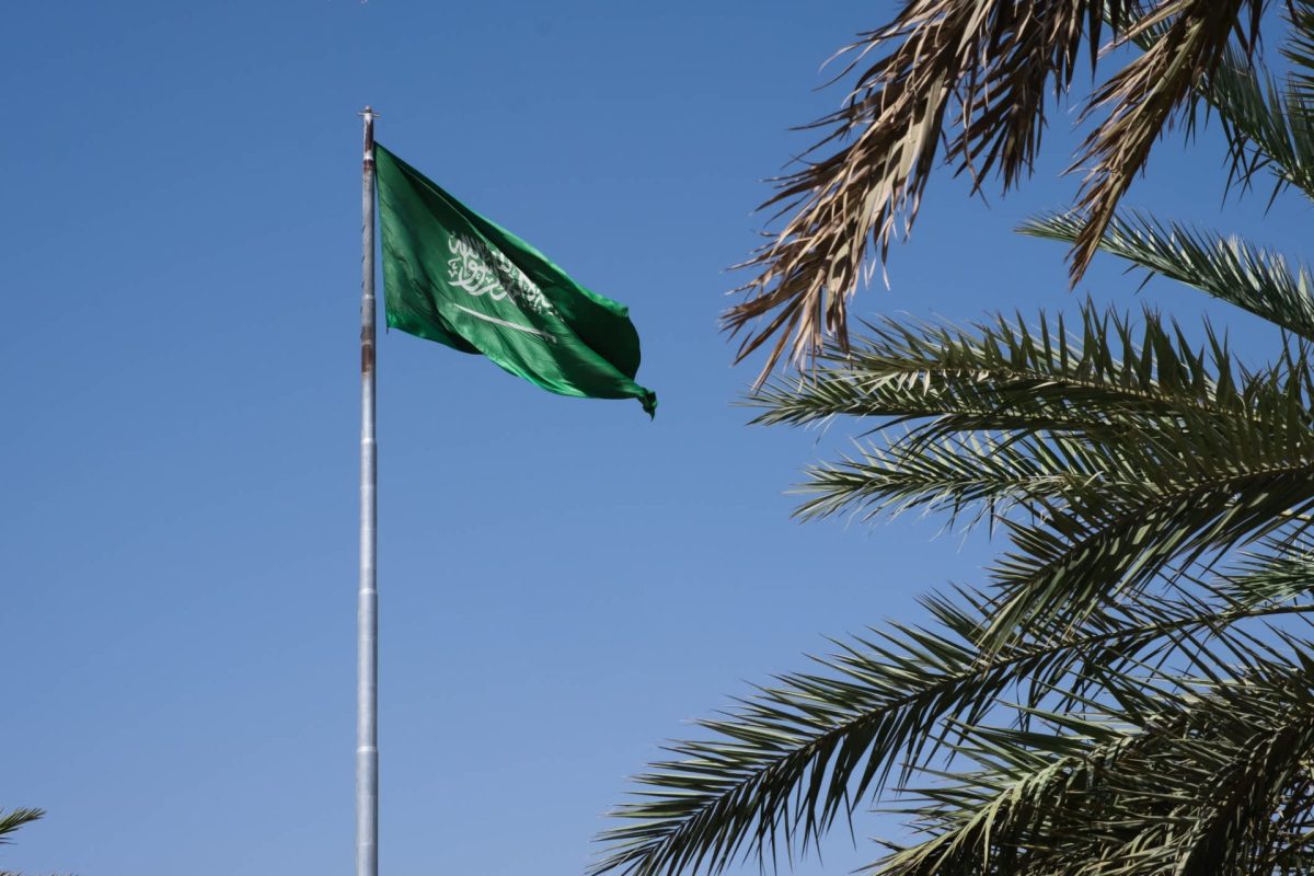 "The arrogance of humans trying to control the Earth is amusing and infuriating."