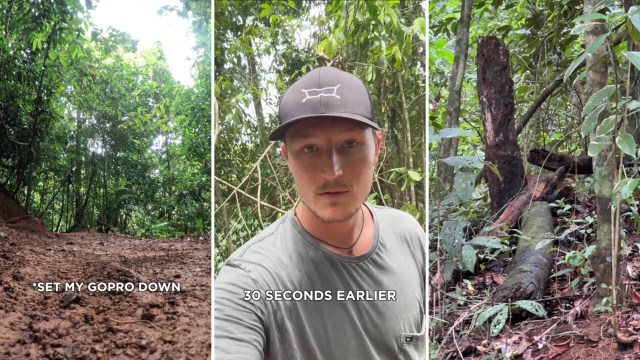 "Poor thing looks hungry."