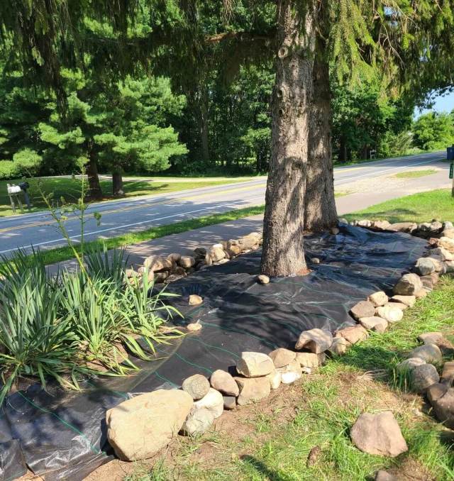 "Glad to catch that mistake early."