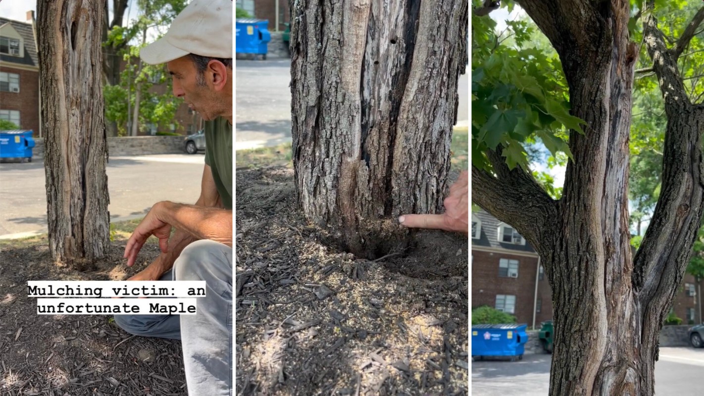 "Finally someone who tells the truth!"