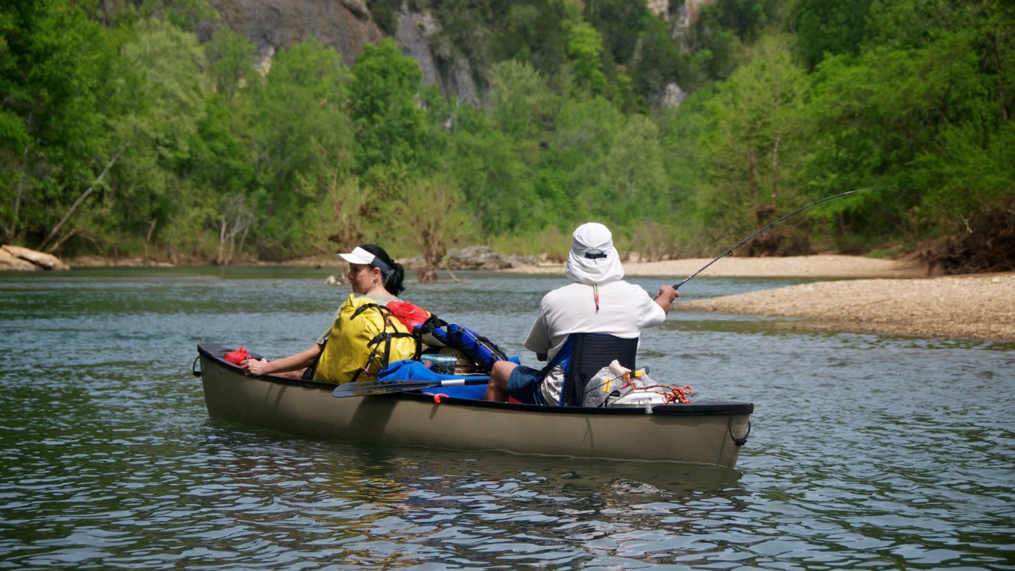 "The fish have become a real headache."