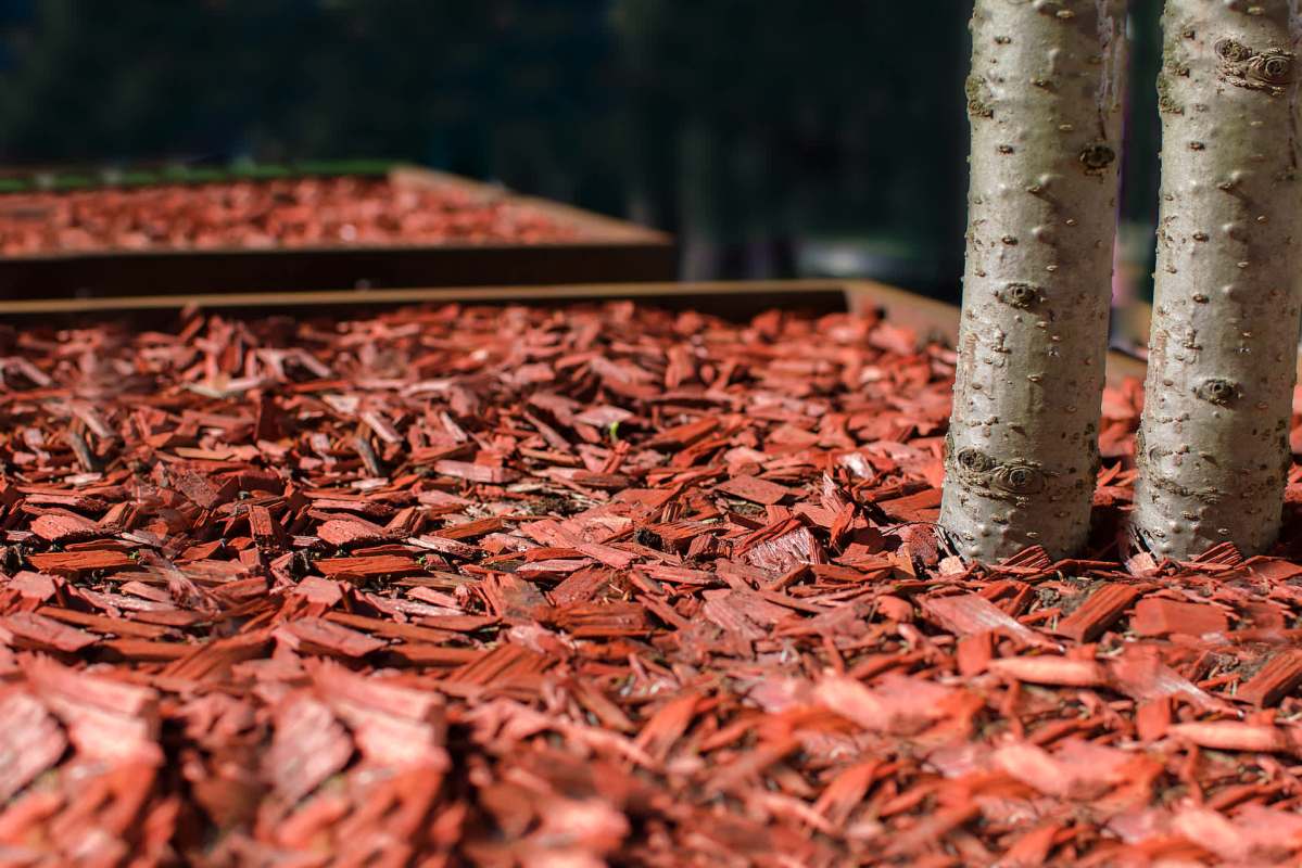 "I saw a very sad thing."