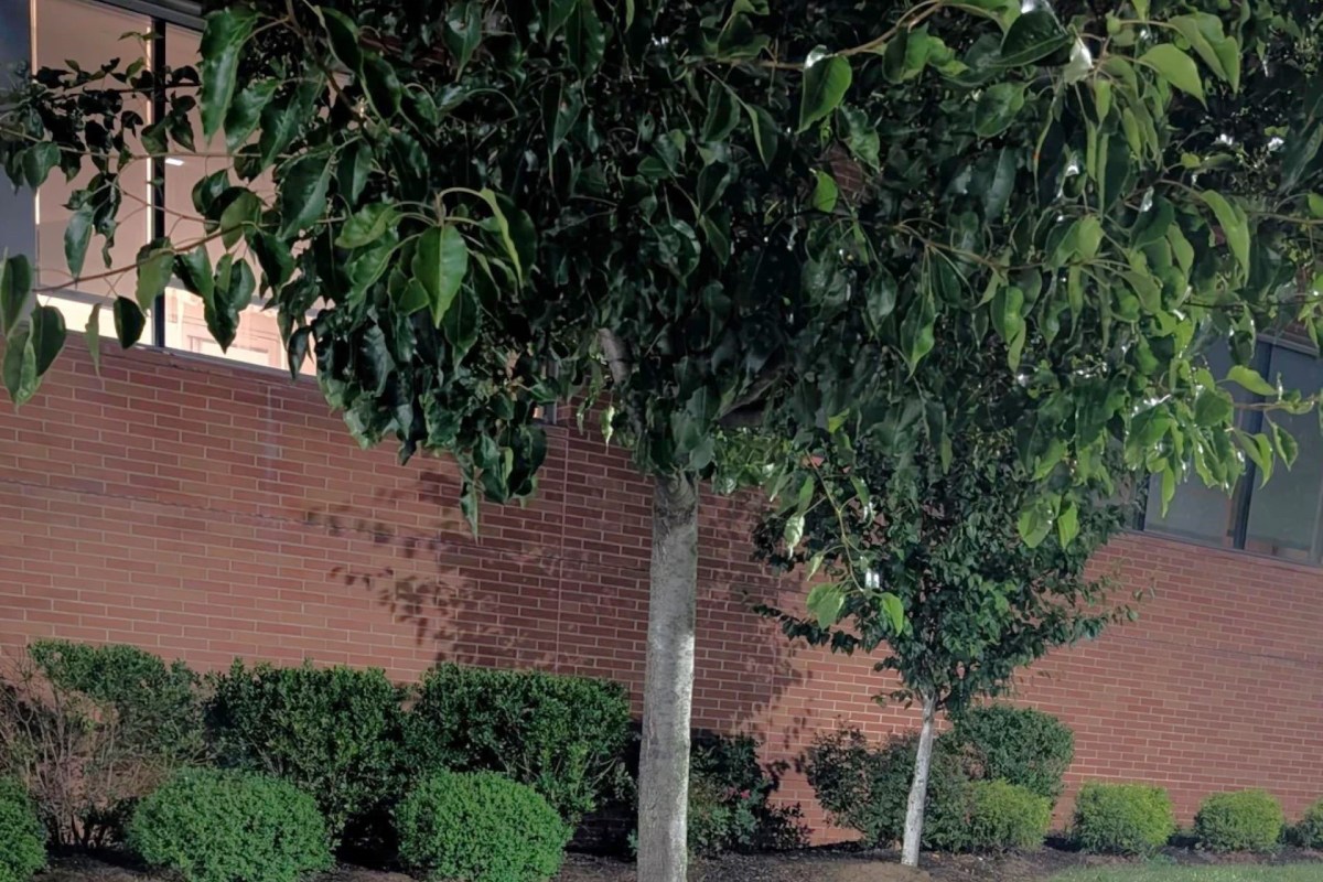 "From this angle..."