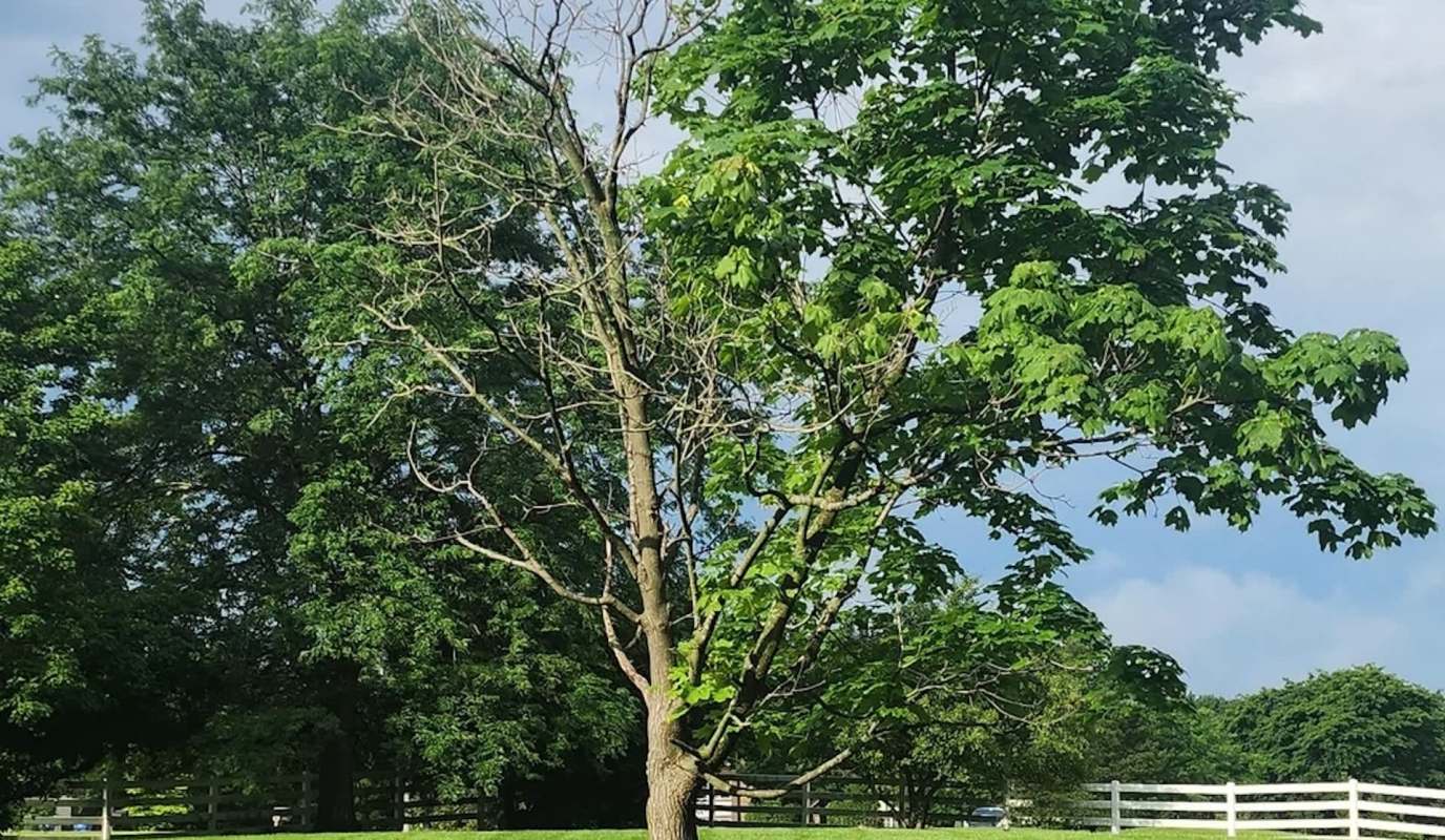 "Personally, I give it one year."