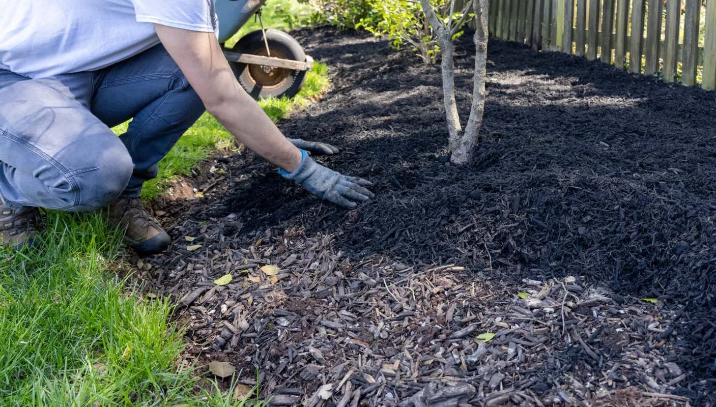 "Let them breathe and grow."