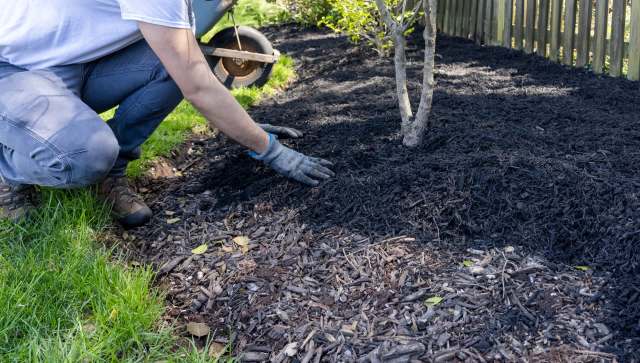 "Let them breathe and grow."