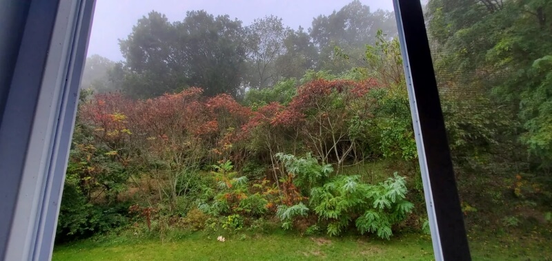 "Hillsides can be challenging, but you nailed it!"