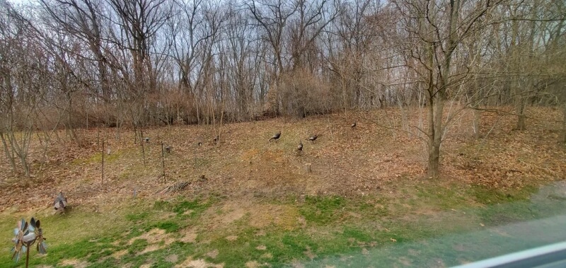 "Hillsides can be challenging, but you nailed it!"