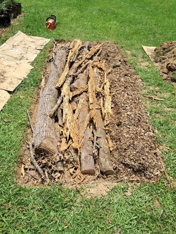 "You're going to love this in the years to come."