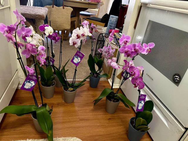 "So what you're saying is we all need to go check the dumpster at our local Home Depots."