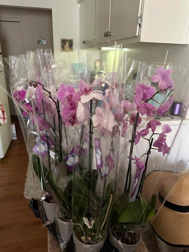 "So what you're saying is we all need to go check the dumpster at our local Home Depots."