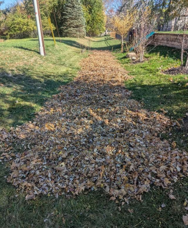 They received some solid advice from experienced gardeners.