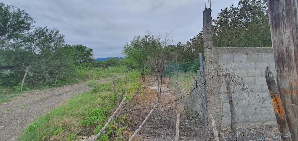 "He just decided to deal with the problem permanently."