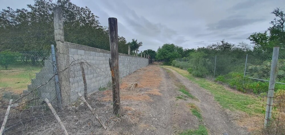 "He just decided to deal with the problem permanently."