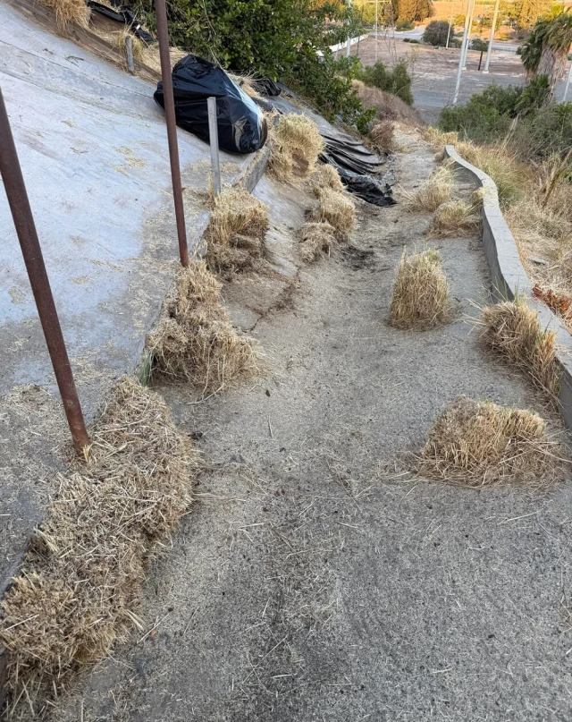 "You may have to get some more serious equipment."