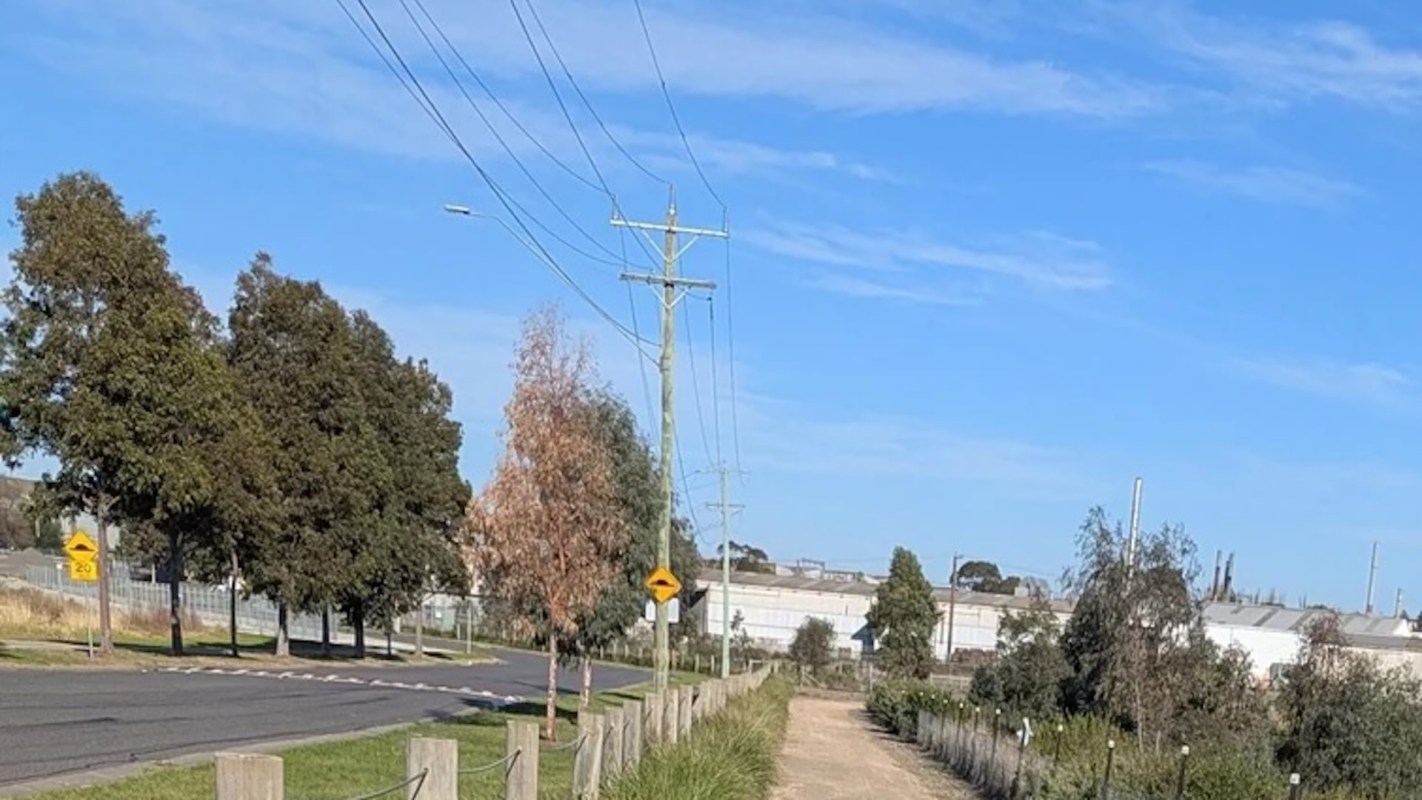 "Kids are doing some serious damage to their brains."