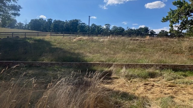 "Love the pics of the new residents."