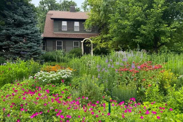 "Once you see results, it's addictive!"