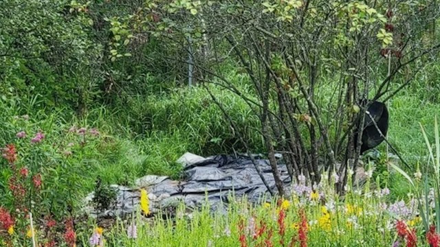 "This is so well done!"