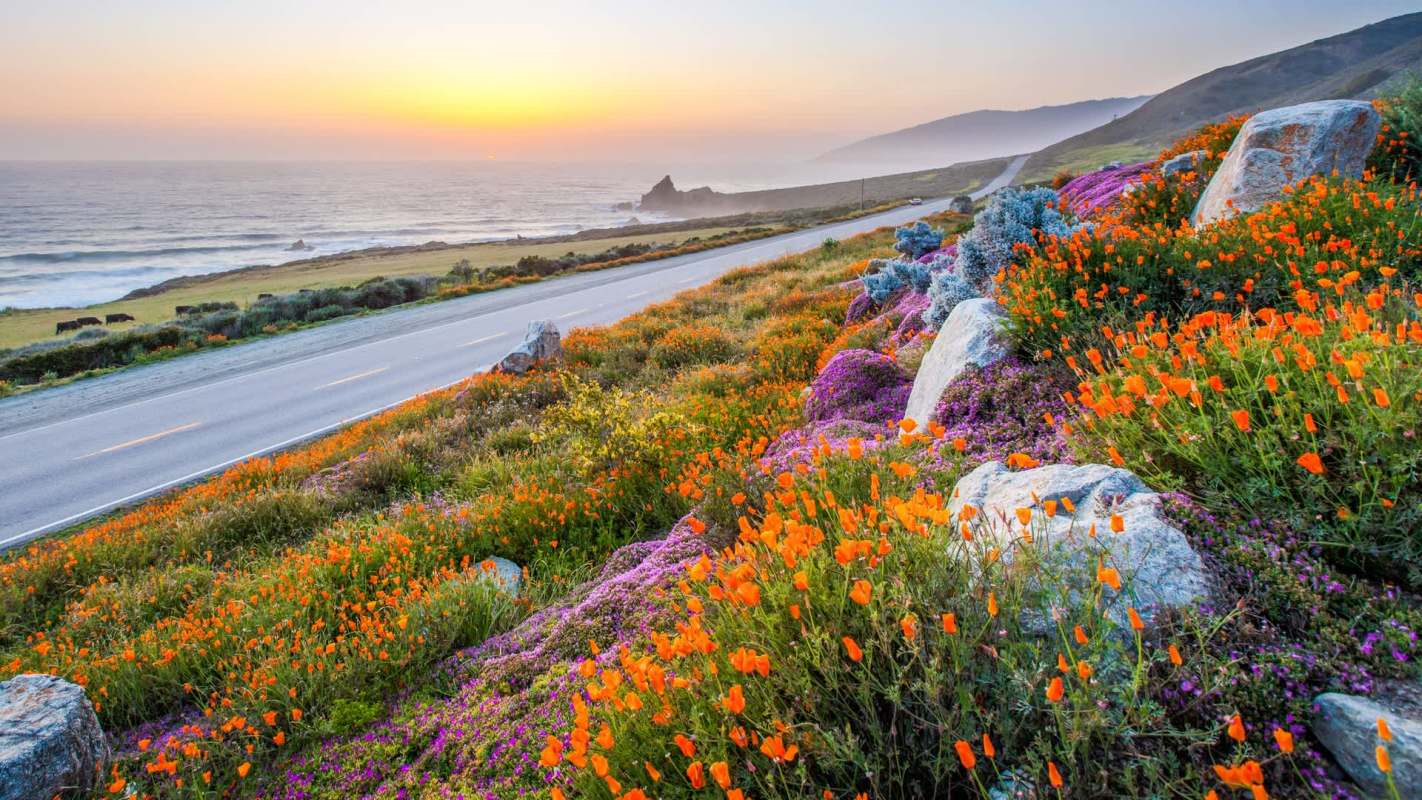 "Any time you tell people what to do, you risk polarization."