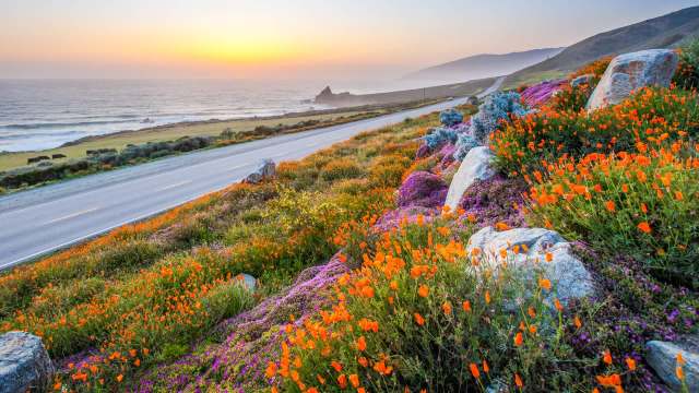 "Any time you tell people what to do, you risk polarization."