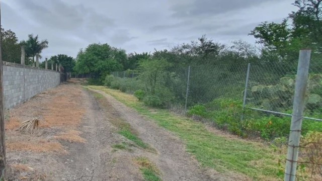 "He just decided to deal with the problem permanently."