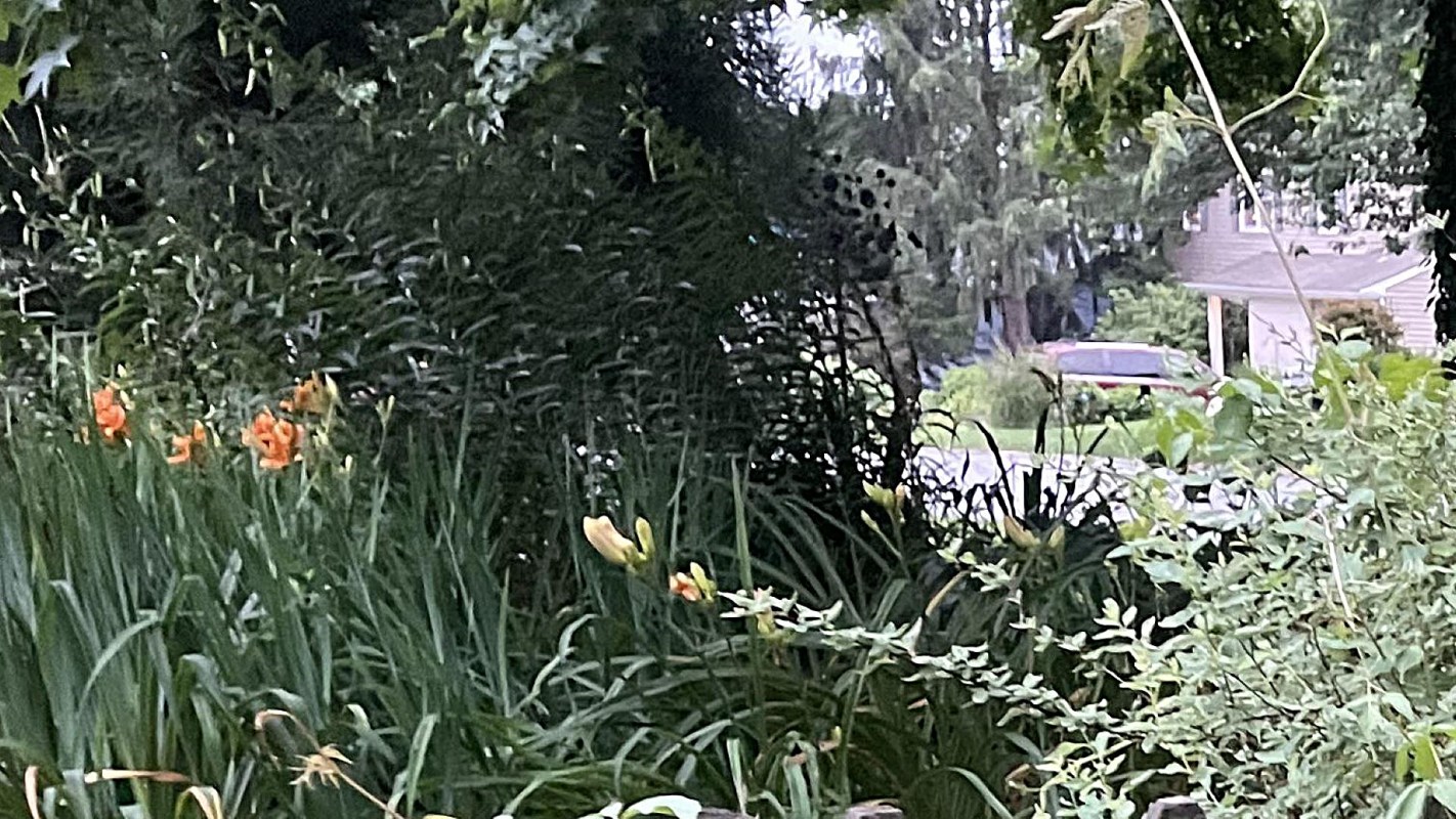 "Your neighbor definitely doesn't sound very kind or considerate."