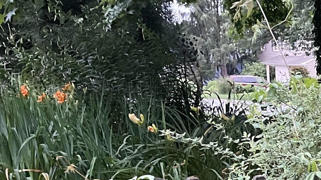 "Your neighbor definitely doesn't sound very kind or considerate."