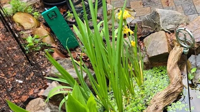 "A constant source of entertainment for my family."