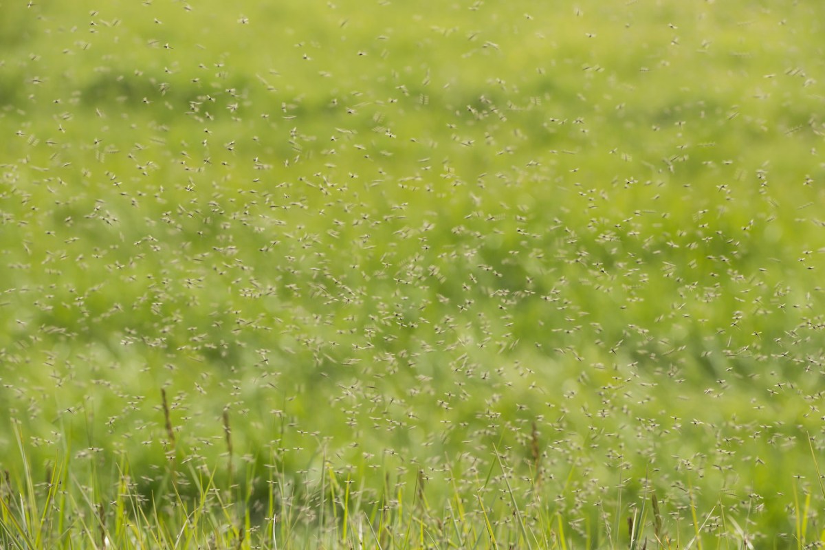 "Promising results."